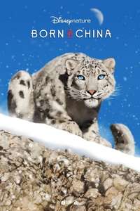 Born in China - Posters