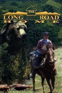 Long Road Home - Poster