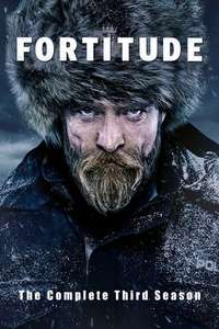 Fortitude - Posters