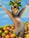 All Hail King Julien : Season 3