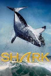 Shark Miniseries