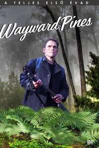 Wayward Pines - Posters