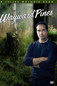 Wayward Pines - Posters