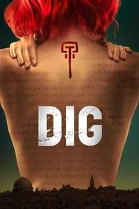Dig - Poster