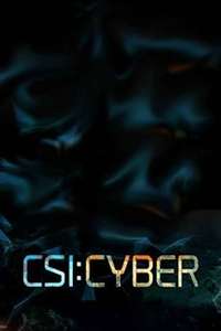 CSI: Cyber - Posters