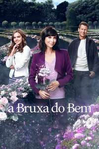 Good Witch - Posters