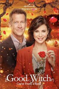 Good Witch - Posters