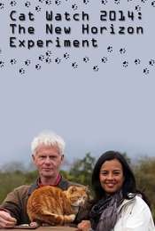 Cat Watch 2014: The New Horizon Experiment Season 1
