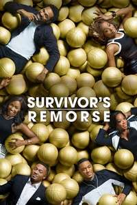 Survivor's Remorse - Posters