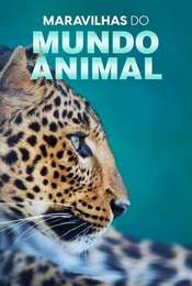 The Wonder of Animals Season 1