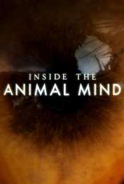 Inside the Animal Mind Season 1