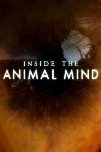 Inside the Animal Mind - Poster