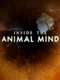 Inside the Animal Mind : Season 1