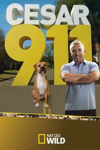 Cesar 911 - Poster