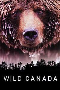 Wild Canada - Poster