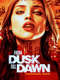 From Dusk till Dawn: The Series : Season 1
