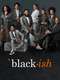 black-ish : Season 8