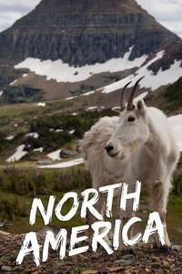 Wild Planet: North America - Posters