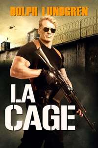 Larceny - Poster
