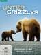 Great Bear Stakeout : Season 1