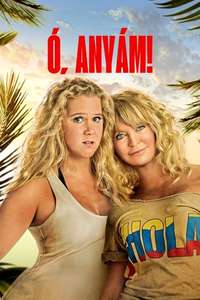 Snatched - Poster