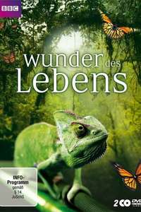 Wonders of Life - Poster