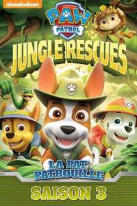Paw Patrol - Posters