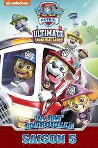 Paw Patrol - Posters