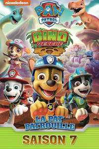 Paw Patrol - Posters