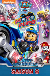 Paw Patrol - Posters