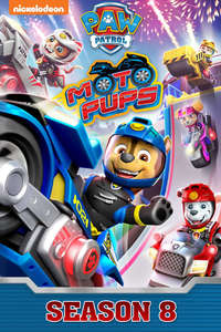 Paw Patrol - Posters