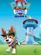 Paw Patrol : Season 8