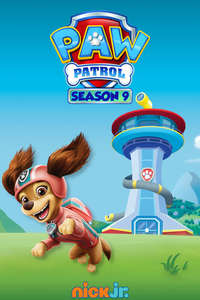 Paw Patrol - Posters