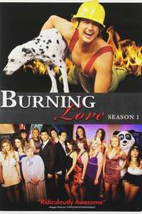 Burning Love - Poster
