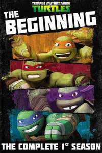 Teenage Mutant Ninja Turtles - Posters