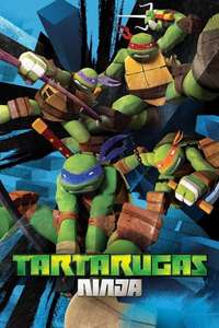 Teenage Mutant Ninja Turtles - Posters