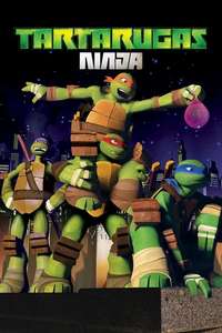 Teenage Mutant Ninja Turtles - Posters