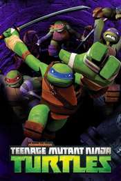 Teenage Mutant Ninja Turtles Season 5