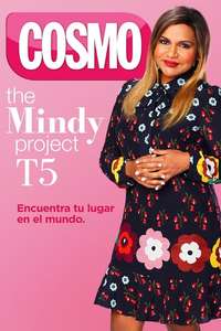 The Mindy Project - Posters