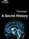 The Brain: A Secret History : Season 1