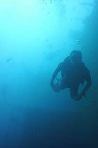 Bering Sea Gold - Posters