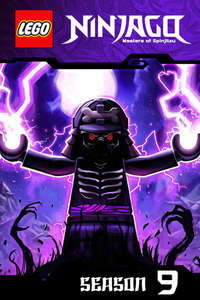 LEGO Ninjago: Masters of Spinjitzu - Posters
