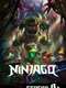 LEGO Ninjago: Masters of Spinjitzu : The Island