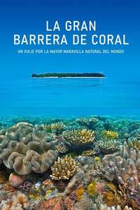 Great Barrier Reef - Posters