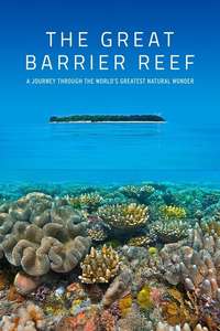 Great Barrier Reef - Posters