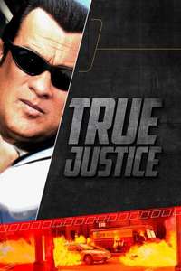 True Justice - Posters
