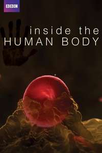 Inside the Human Body - Poster