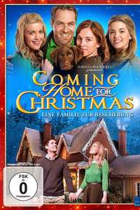 Coming Home for Christmas - Poster