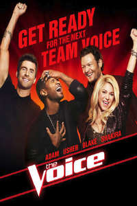 The Voice - Posters