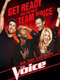 The Voice : Season 4